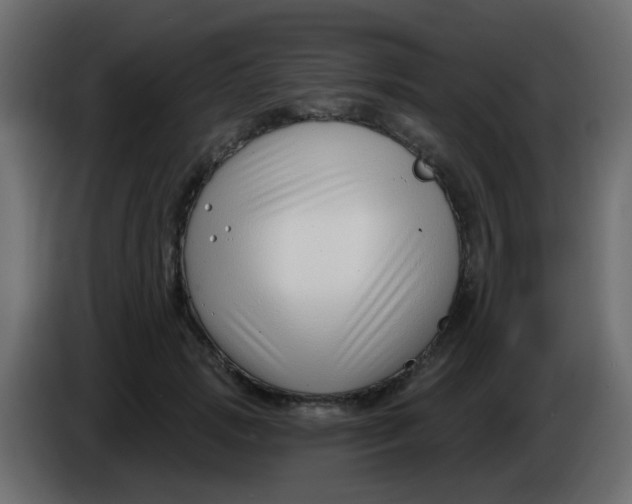 X0000086070749200704132040