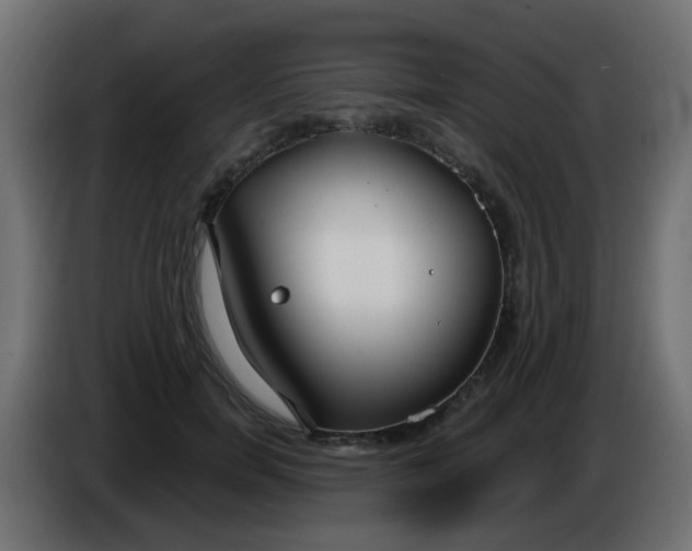 X0000086070750200704132040