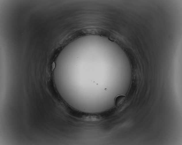 X0000086070751200704132040