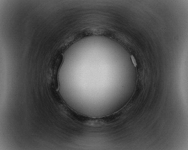 X0000086070752200704132040