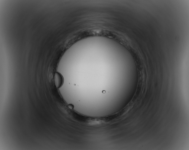 X0000086070754200704132040