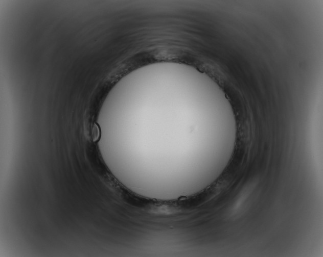 X0000086070755200704132040