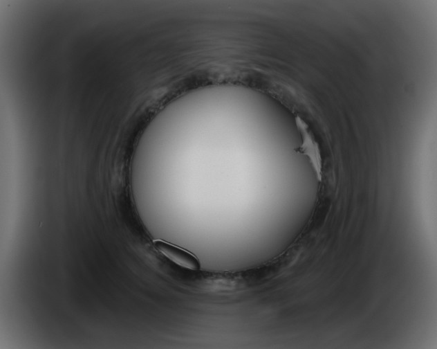 X0000086070756200704132040