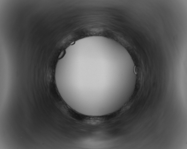 X0000086070758200704132040