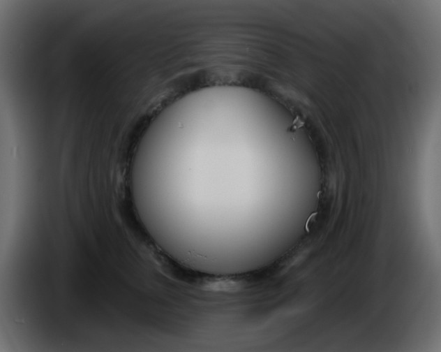 X0000086070759200704132040
