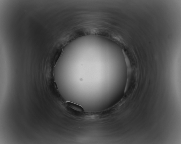 X0000086070760200704132040