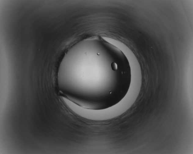X0000086070762200704132040