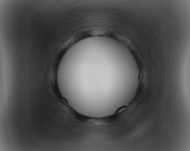 X0000086070763200704132040
