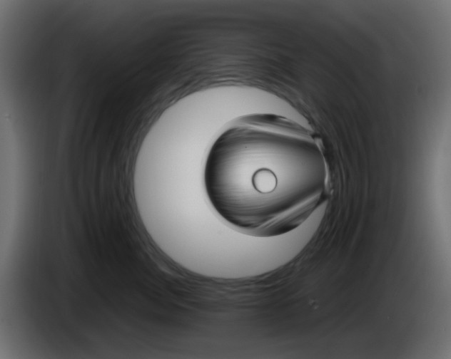 X0000086070764200704132040