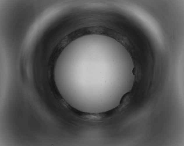 X0000086070765200704132040