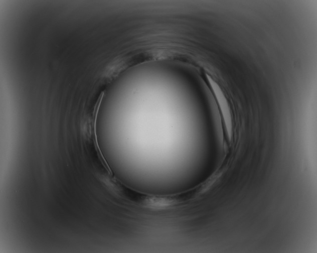 X0000086070766200704132040