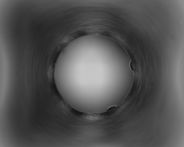 X0000086070767200704132040