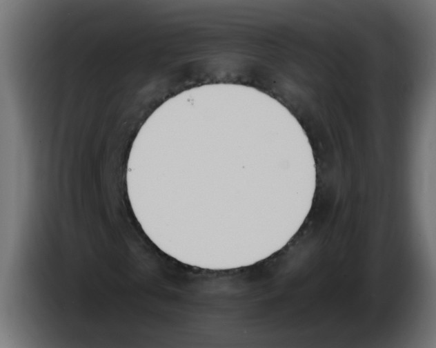 X0000086070769200704132039