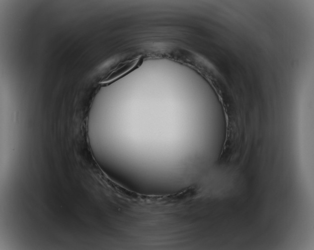 X0000086070773200704132039