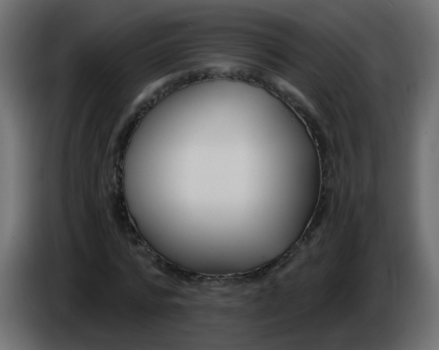 X0000086070776200704132039