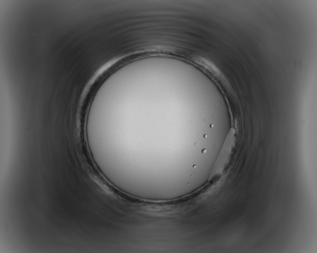 X0000086070780200704132039