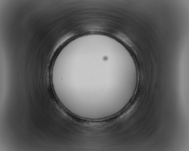 X0000086070782200704132039