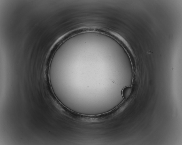 X0000086070783200704132039