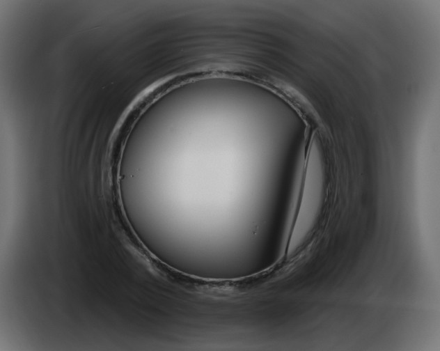 X0000086070784200704132039