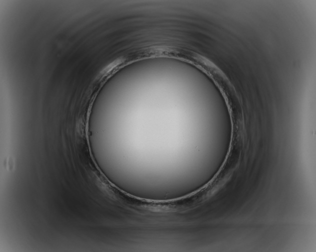 X0000086070785200704132039