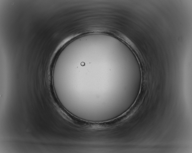 X0000086070787200704132039