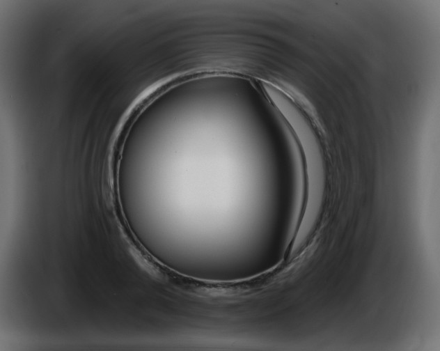 X0000086070792200704132039