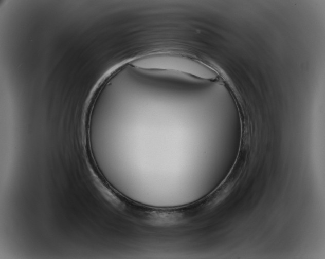 X0000086070795200704132039