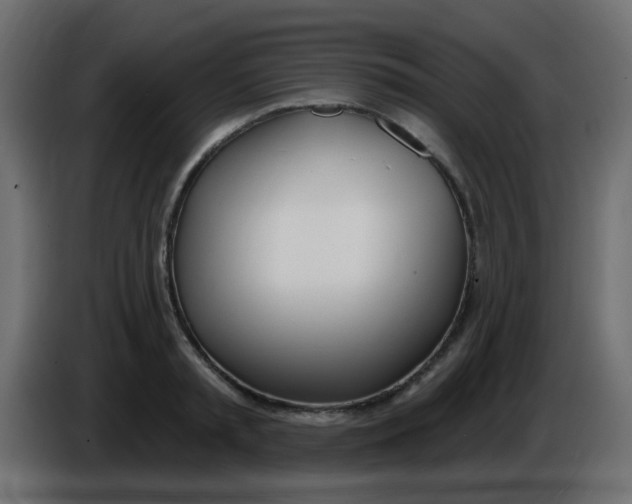 X0000086070797200704132039