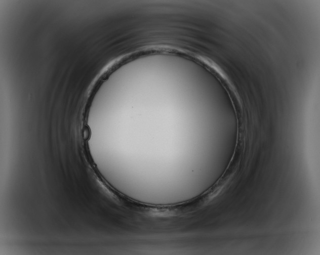 X0000086070799200704132039