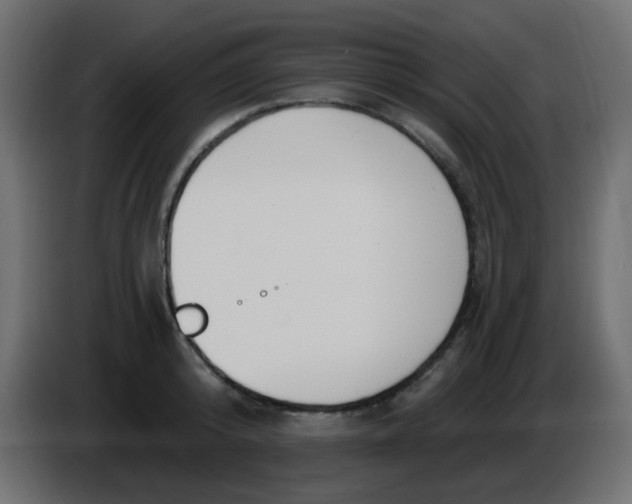 X0000086070800200704132039