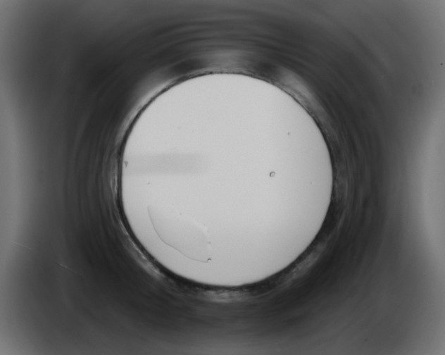 X0000086070804200704132039