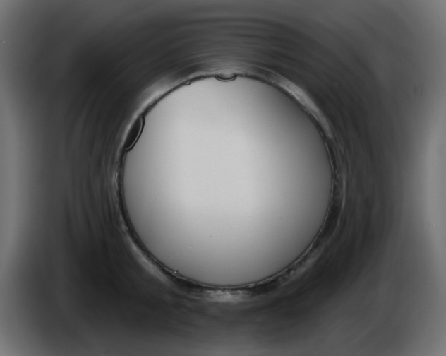 X0000086070805200704132039