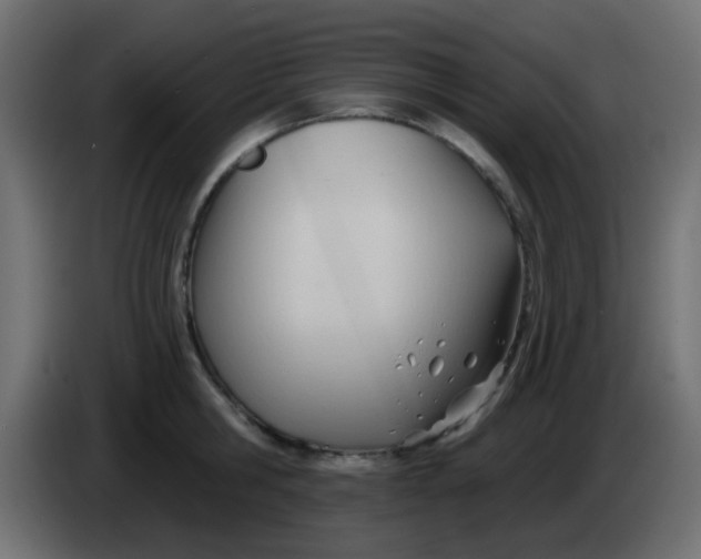 X0000086070806200704132039