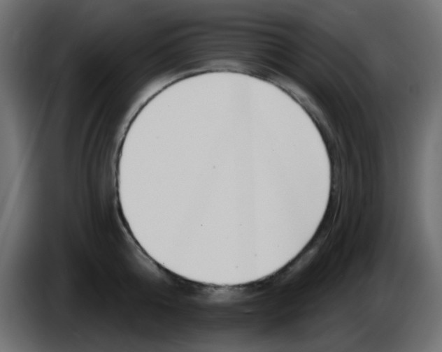 X0000086070808200704132039