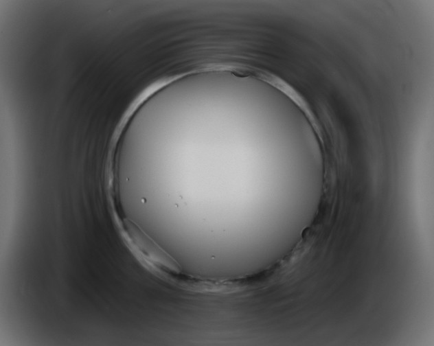 X0000086070811200704132039