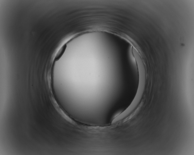 X0000086070812200704132039