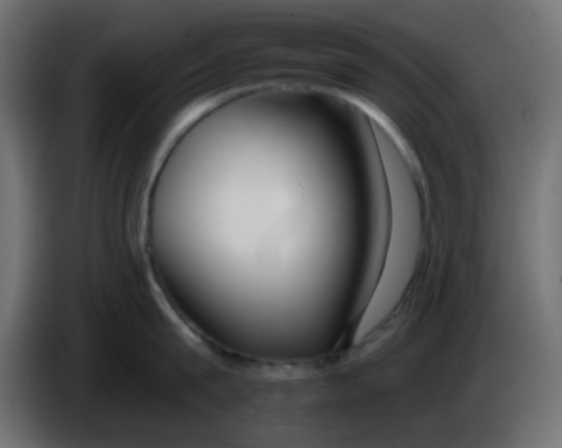X0000086070815200704132039