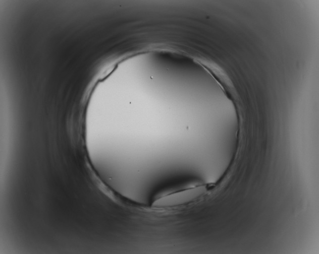 X0000086070816200704132039
