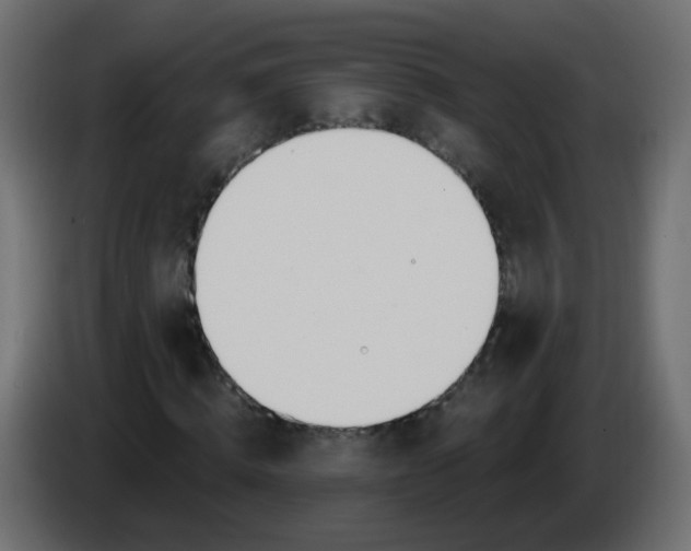 X0000086070820200704132038