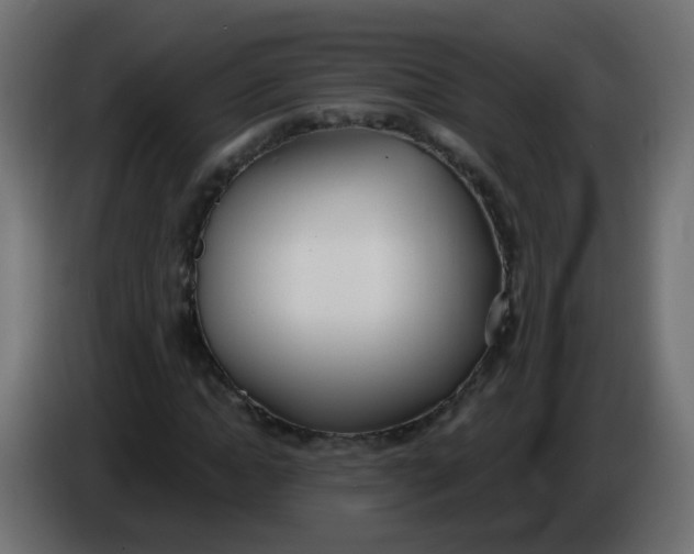 X0000086070822200704132038