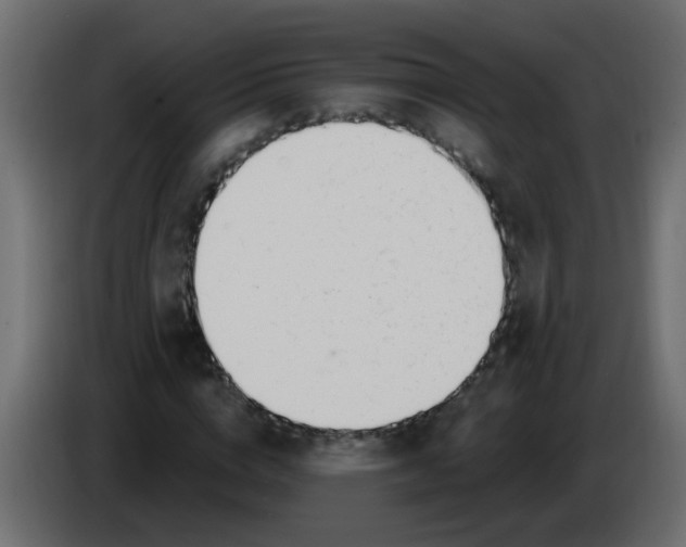 X0000086070824200704132038