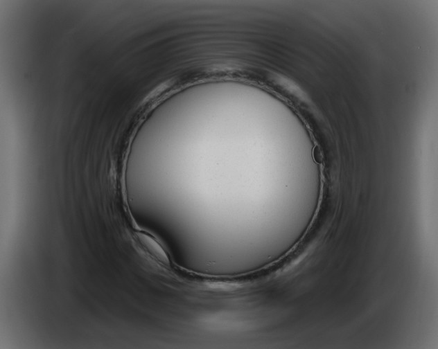 X0000086070825200704132038