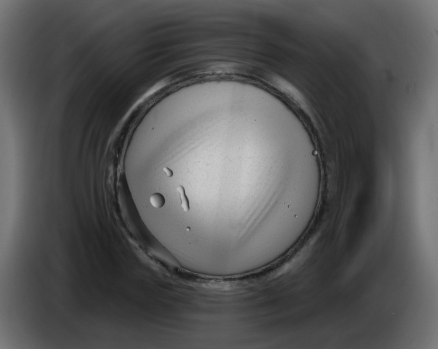 X0000086070827200704132038
