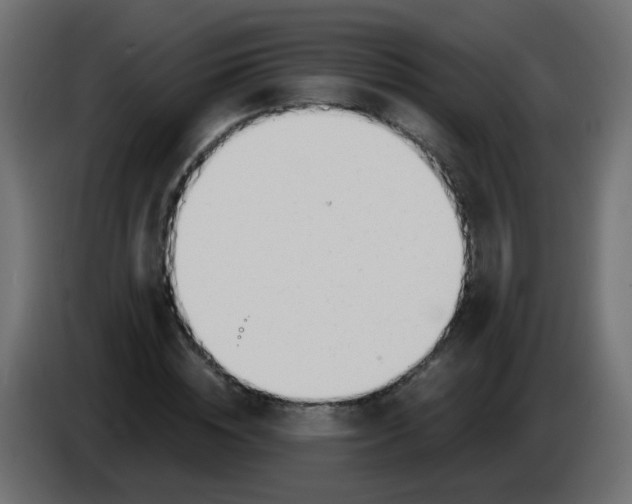 X0000086070828200704132038