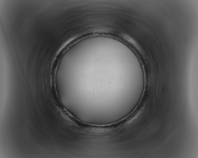 X0000086070829200704132038