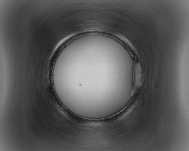 X0000086070830200704132038