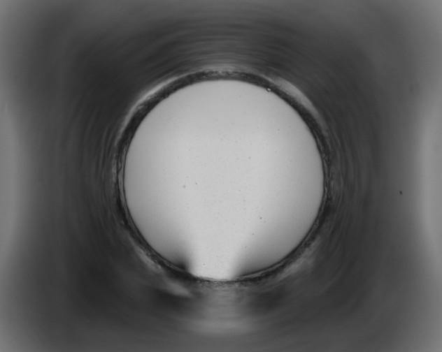 X0000086070831200704132038