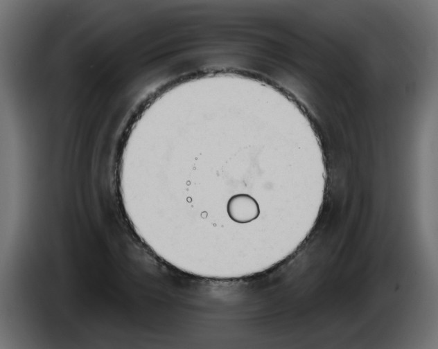 X0000086070832200704132038