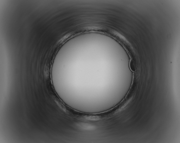 X0000086070833200704132038