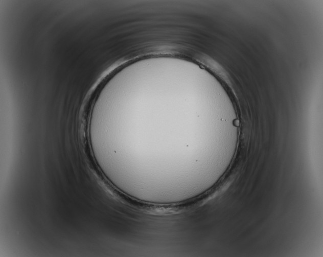 X0000086070835200704132038